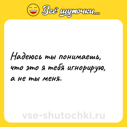 Шутка: Надеюсь ты понимаешь, что это я тебя игнорирую, а не ты меня.