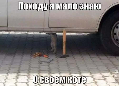 Смешная картинка №287427