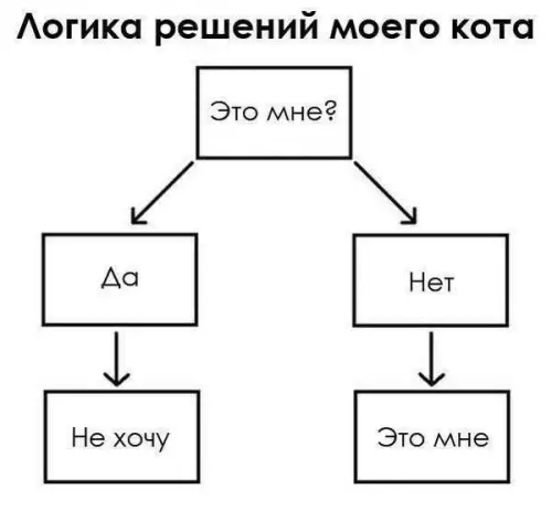 Смешная картинка №715085 коты