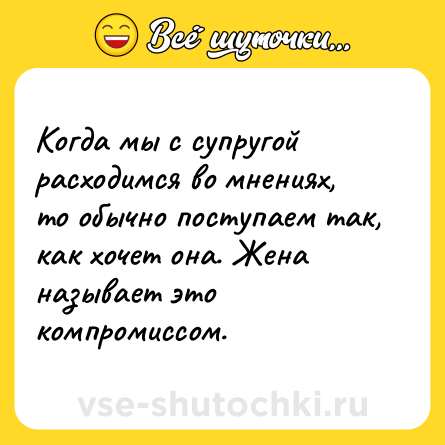 Шутка: Когда мы с супругой расходимся во мнениях, то обычно поступаем так, как хочет она. Жена называет это компромиссом.