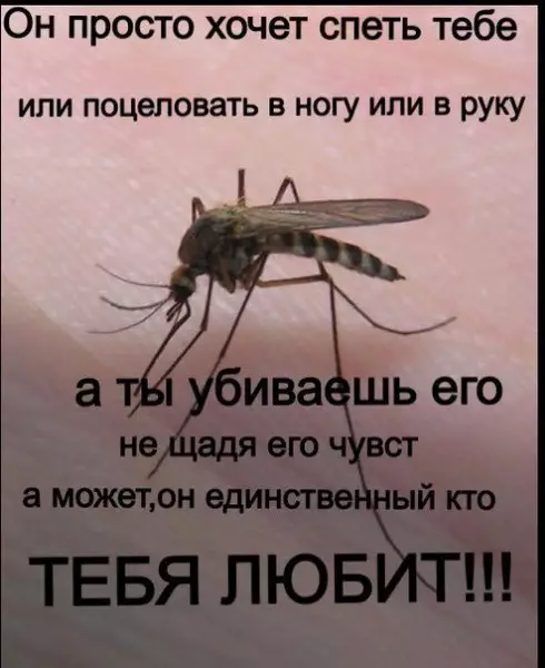 Смешная картинка №197455