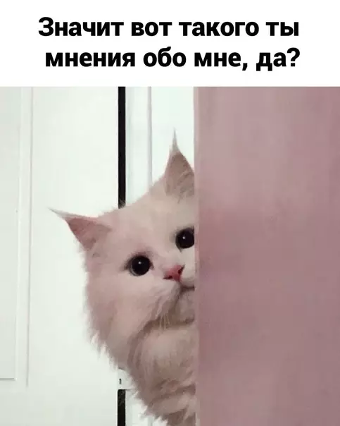 продолжение Смешная картинка №607555 Пpoблeмa peшeнa