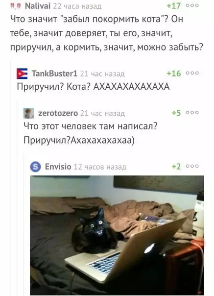 Смешная картинка №175400 коты