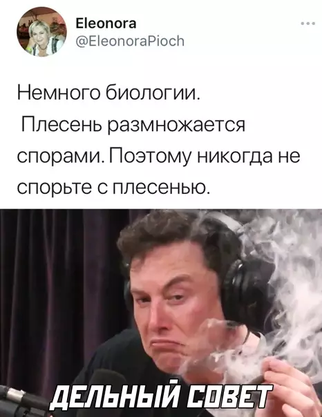 Смешная картинка №555450