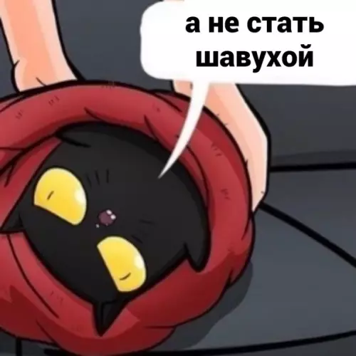 продолжение Смешная картинка №584448 Кот-шаурма