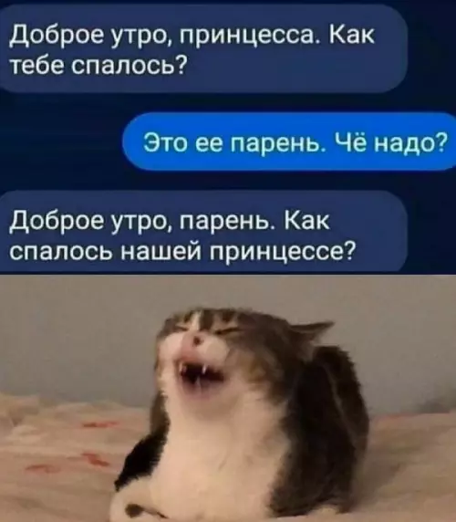 Смешная картинка №650489