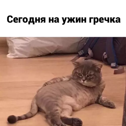 Смешная картинка №523830