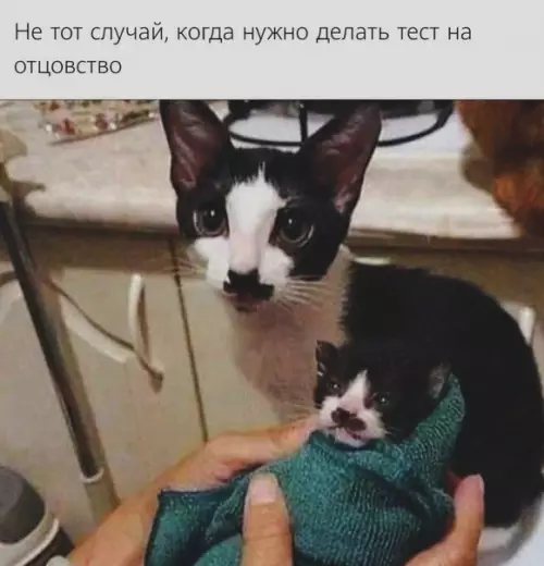Смешная картинка №507189