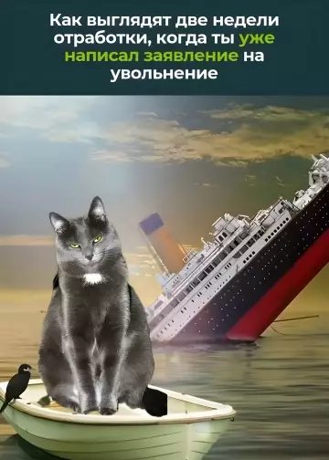 Смешная картинка №780204