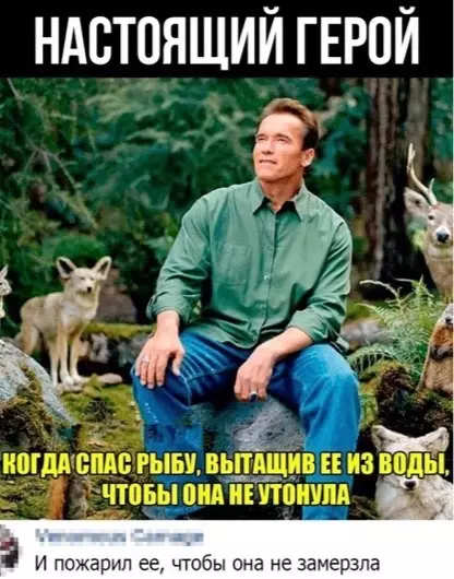 Смешная картинка №503852