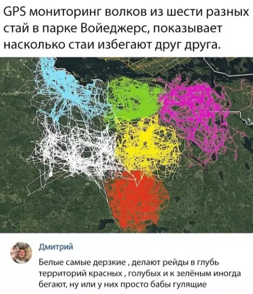 Смешная картинка №317932