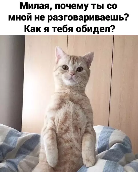 Смешная картинка №566821