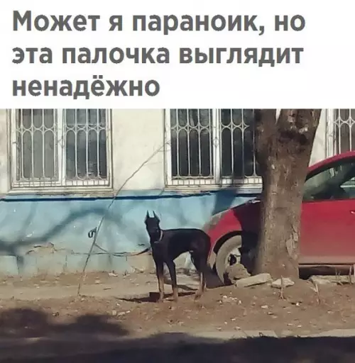 Смешная картинка №215340