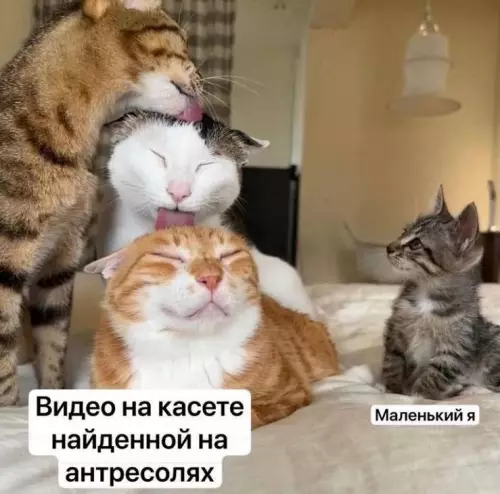 Смешная картинка №758717