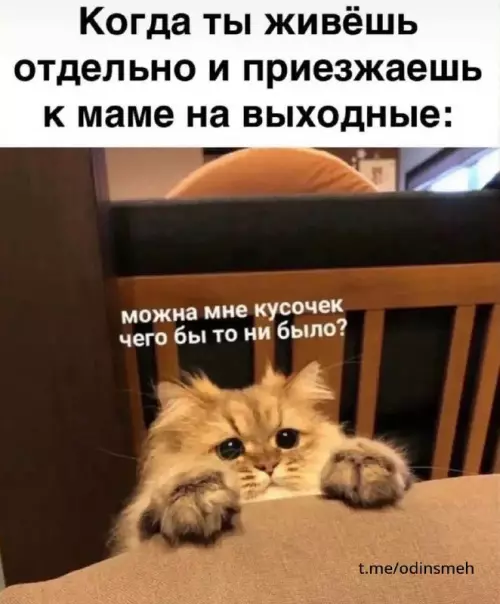 Смешная картинка №661295