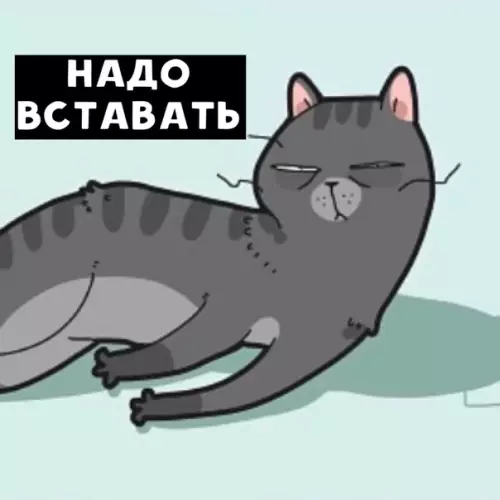 Смешная картинка №462156 Teкyщee coстoяниe.