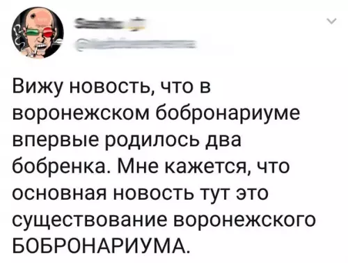 Смешная картинка №264511