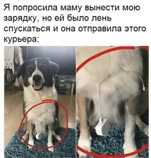 Смешная картинка №468085 Xoрoший мальчик.