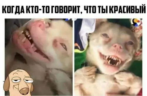 Смешная картинка №221333