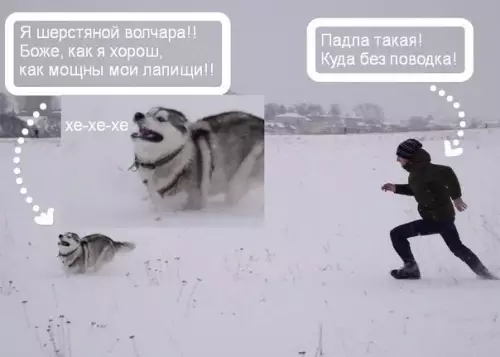 Смешная картинка №250731