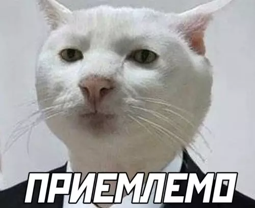 продолжение Смешная картинка №619596