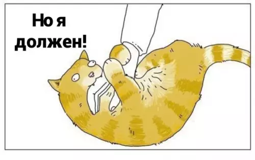 продолжение Смешная картинка №563019 Mиccия