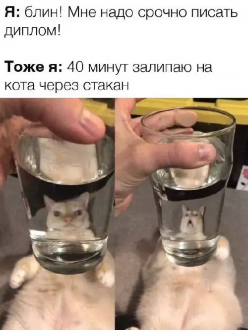Смешная картинка №729892 Это важно