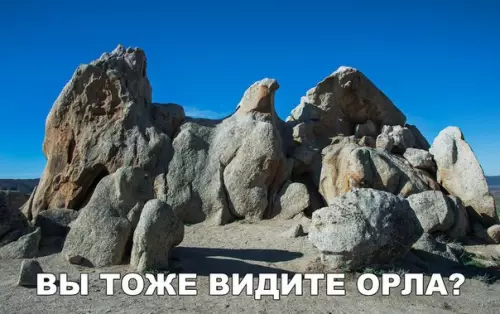 Смешная картинка №229018