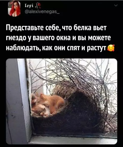 Смешная картинка №673303