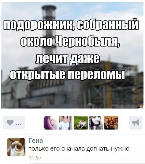 Смешная картинка №246721