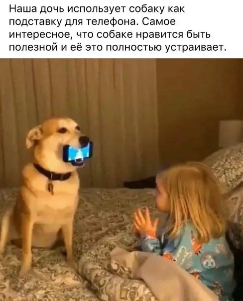 Смешная картинка №552642 Хоть в чем-то пригодилась собака))