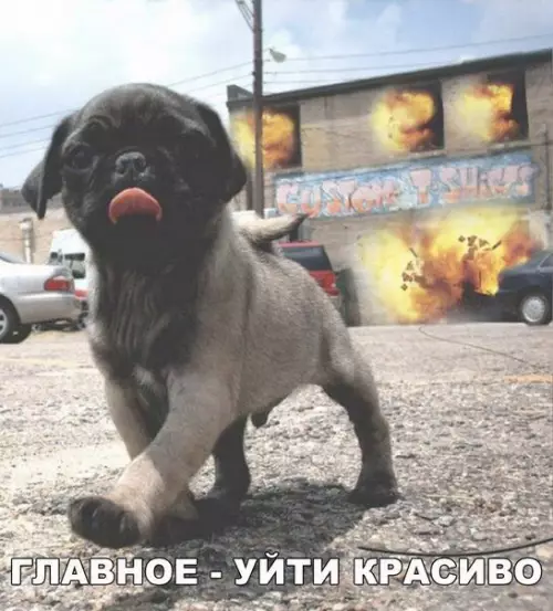 Смешная картинка №269383