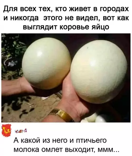 Смешная картинка №624437 Гopoдской инфаркт