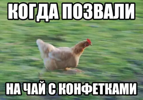 Смешная картинка №250201