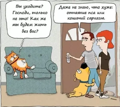 Кот-манипулятор и собачья грусть 😂🐈 - Вы уходите? Господи, только не это! Как же мы будем