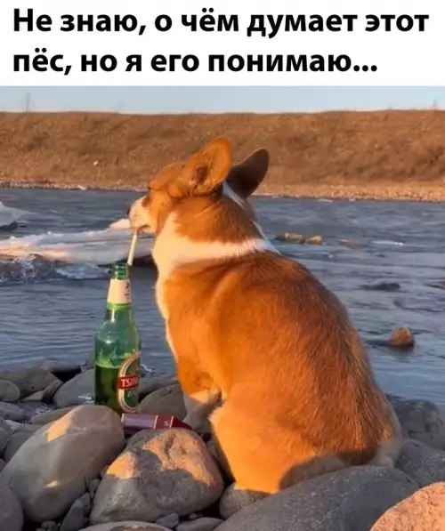 Смешная картинка №671349