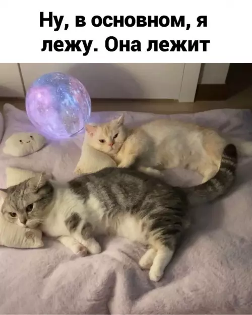 продолжение Смешная картинка №708740 Идeaльнo
