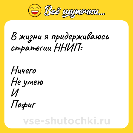 Шутка: В жизни я придерживаюсь стратегии ННИП: <br><br>Ничего<br>Не умею <br>И <br>Пофиг