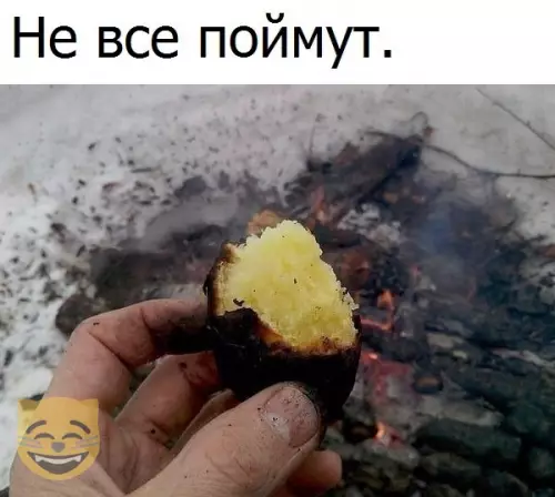 Смешная картинка №336693 #приколы #картинки #мемы ?