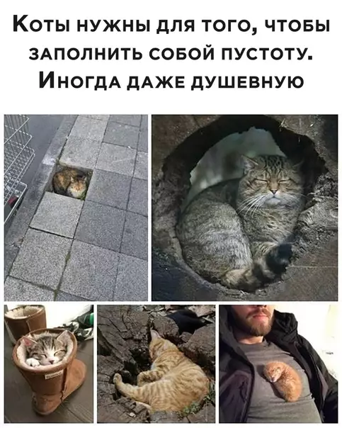 Смешная картинка №496774