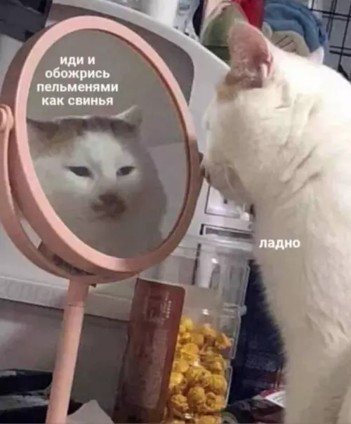 Смешная картинка №652671