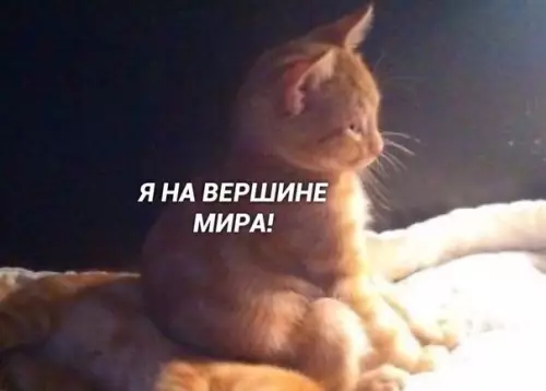 Смешная картинка №432403 Это слишком милo