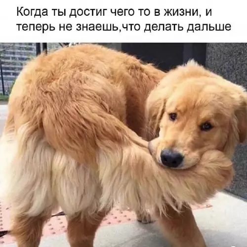 Смешная картинка №696448