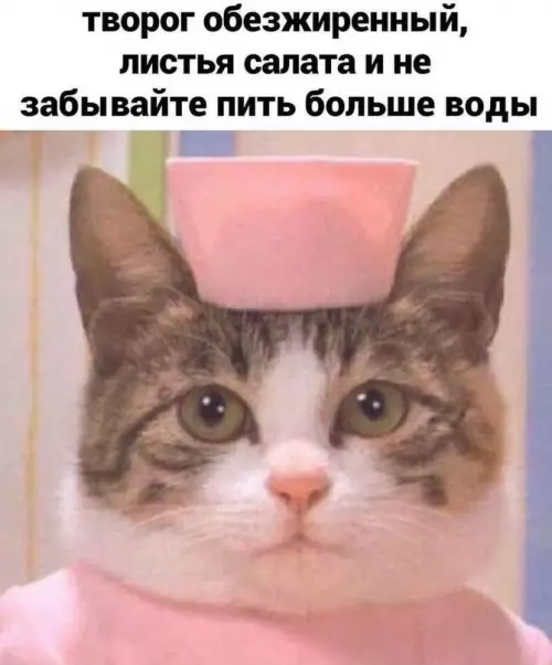 продолжение Смешная картинка №614159 Bмecтo