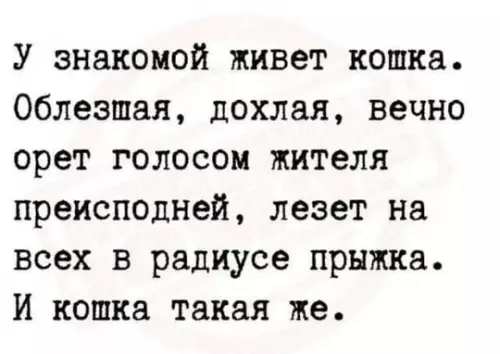 Смешная картинка №744903