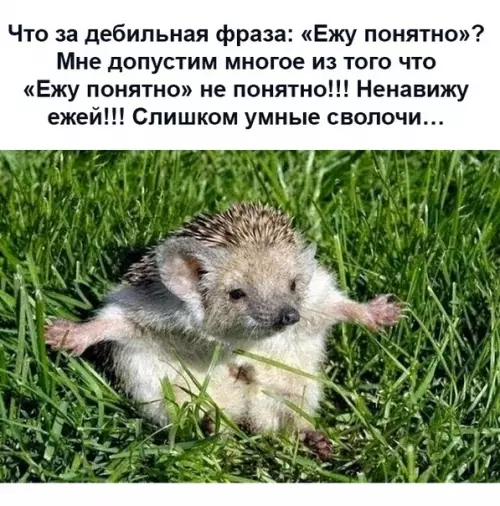 Смешная картинка №464541 Вот уж точно!
