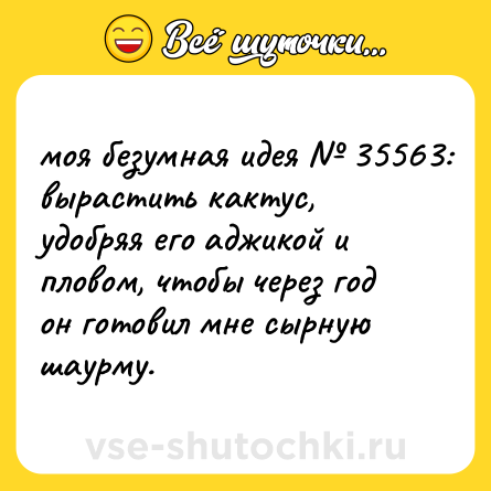 Шутка: моя безумная идея № 35563: <br>вырастить кактус, удобряя его аджикой и пловом, чтобы через год он готовил мне сырную шаурму.