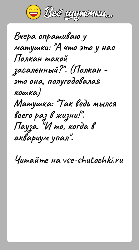 История: Вчера спрашиваю у матушки: А что это у нас Полкан такой засаленный? . (Полкан - это она, полугодовалая кошка) Матушка: Так
