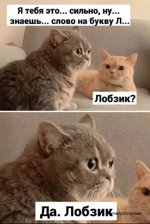 Смешная картинка №667267
