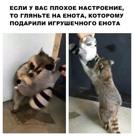 Смешная картинка №287279